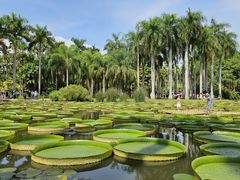 -中国科学院西双版纳热带植物园