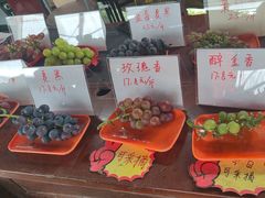 -马陆小张葡萄园农家乐