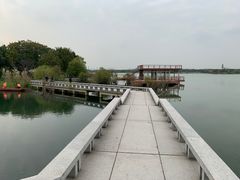 -贡湖湾湿地公园