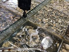 -87号烧烤海鲜·大排档(金沙滩店)