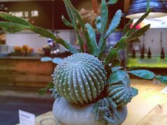 -三秋舍·梦幻岛(小西路店)
