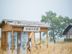 -良渚古城遗址公园
