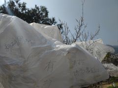 -北京鹫峰国家森林公园