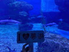 -多彩贵州城极地海洋世界