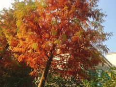 -江南大学(蠡湖校区)