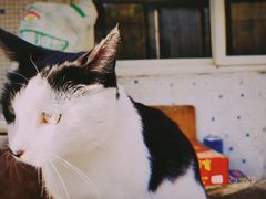 -三点小吃(山大店)