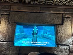 -翱翔飞越地平线