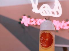 -浣熊柯尔鸭土拨鼠·电玩咖