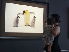 -罗红摄影艺术馆