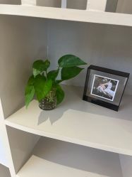 -万福娃儿童摄影(南门店)