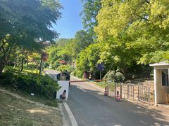 -宝界山林公园