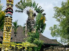 -西双版纳基诺山寨