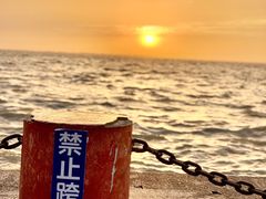 -东方绿舟景区