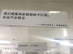 -成都失恋馆