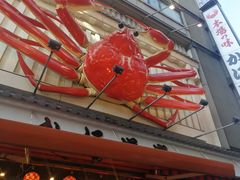 -蟹道乐(網元別館店)
