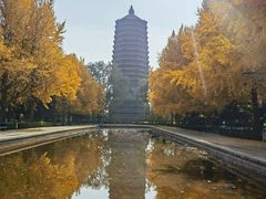 -玲珑塔公园
