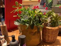-蘸小院铁锅炖·蘸酱菜·东北菜(怀远门店)