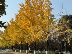 -成都中医药大学(温江校区)