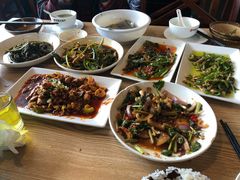 -老号尤兔头(幸福店)