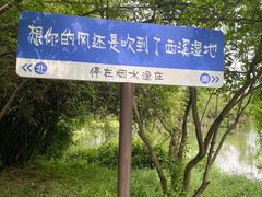 -西溪国家湿地公园