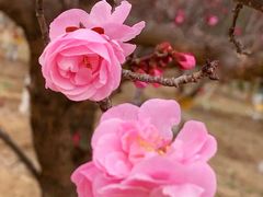 -鹫峰国家森林公园