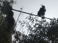 -寻味乌镇·龙虾烧烤