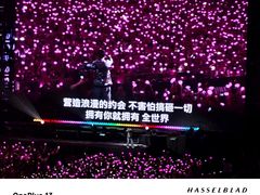 -上海体育场