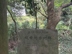 -普陀山慧济禅寺