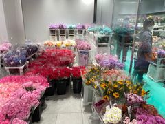 -盒马X会员店(上海森兰商都店)