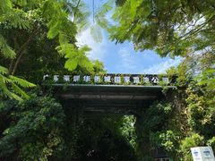 -华侨城湿地公园