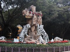 -广州长隆欢乐世界