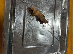 -陈氏肥蛤(小纬六路总店)