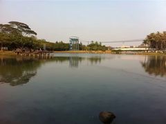 -海上田园