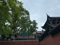 -丰都鬼城名山景区