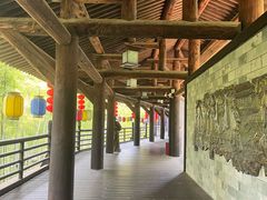 -大唐贡茶院
