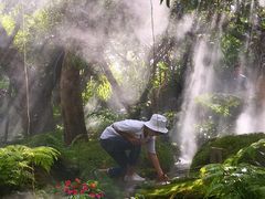 -Chom Cafe and Restaurant