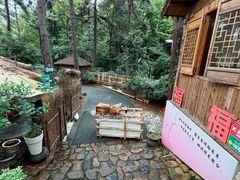 -小小饭店·休闲农庄·安吉松树林里的农家菜