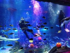 -沈阳海洋探索中心