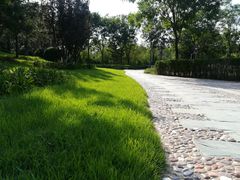 -燕郊植物园