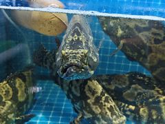 -醉壹号海鲜大排档(厦门美食地标店)