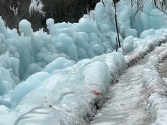 -青峰峡国家森林公园