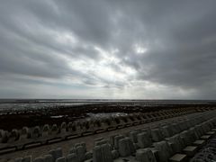 -南汇嘴观海公园