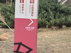 -大望京公园