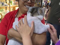 -久久宠物(河东万达店)