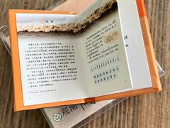 -观潮胜地公园