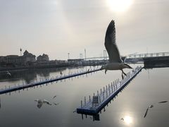 -大连圣亚海洋世界