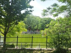 -莲湖公园