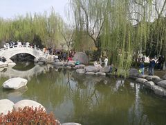 -西安青龙寺遗址景区