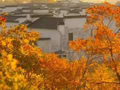 -塔川景区