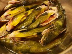 -荣德灶台鱼(圣泉寺店)